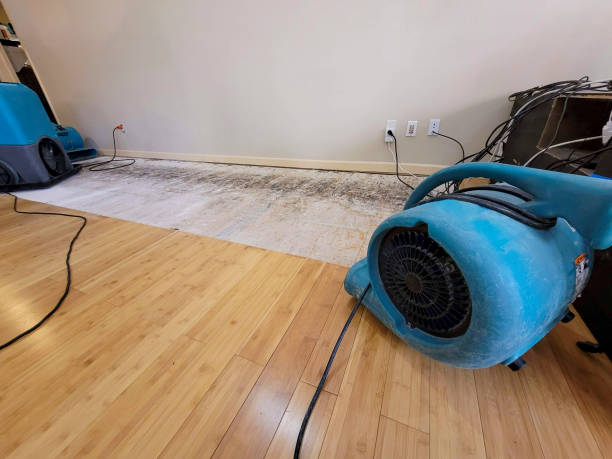 Reliable Burst Pipe Water Damage contractor in Hingham, MA by Hirex Water Damage