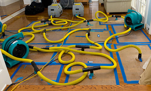 Professional Burst Pipe Water Damage technician working in Hingham, MA